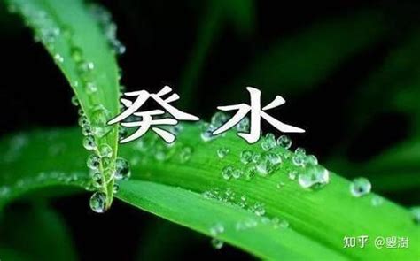 癸水名人|癸水详解